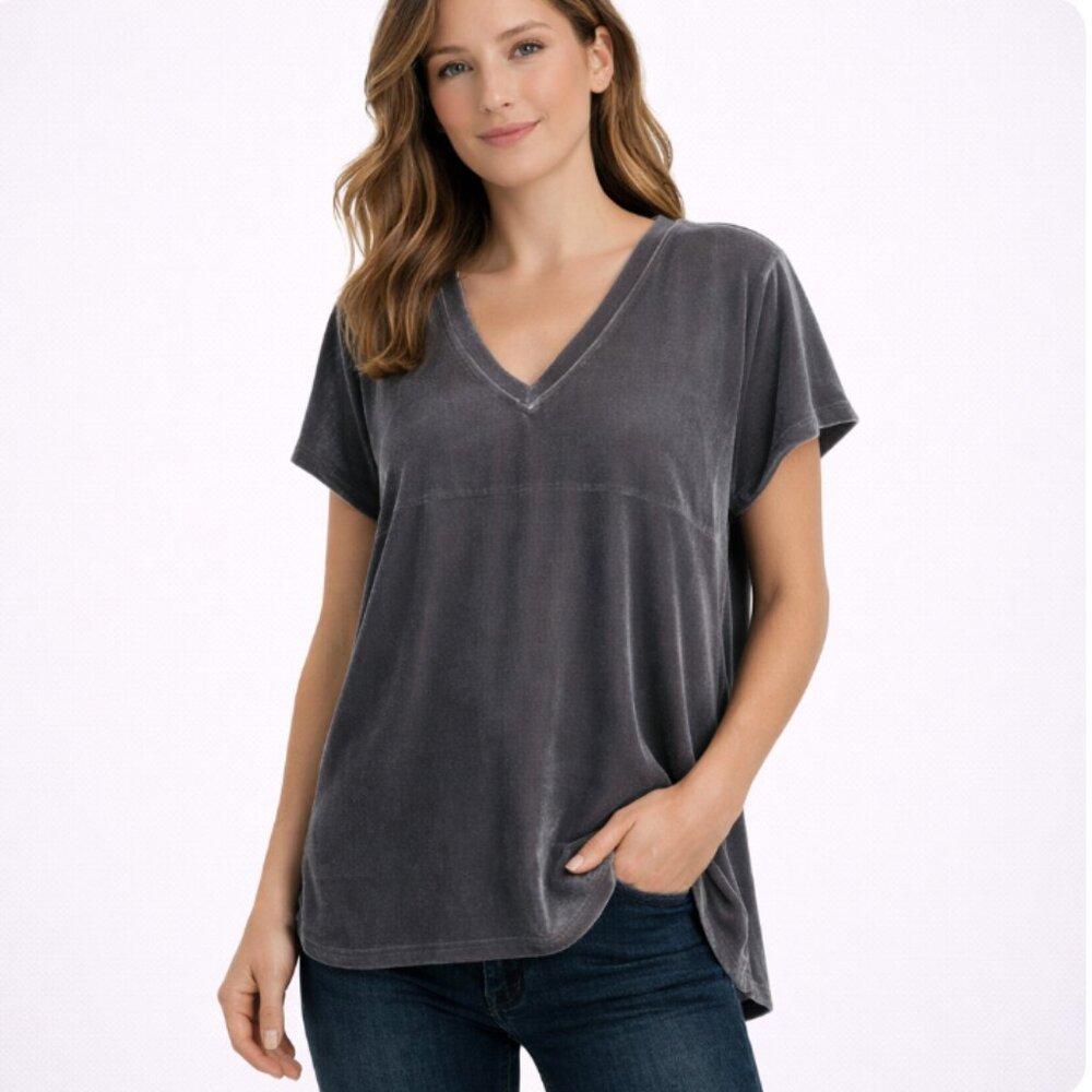 ANTHROPOLOGIE NWT DYLAN BY TRUE GRIT Gray Velvet Loose Fit V-Neck Tee